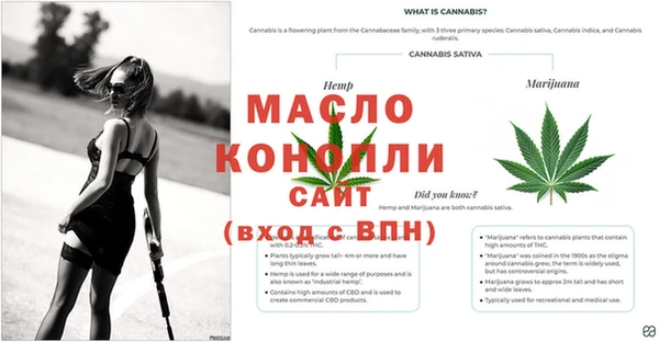 mdpv Вяземский