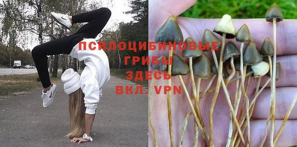 первитин Вязьма