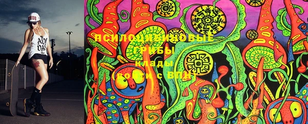 2c-b Вязники