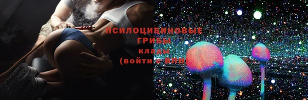 mdpv Вяземский
