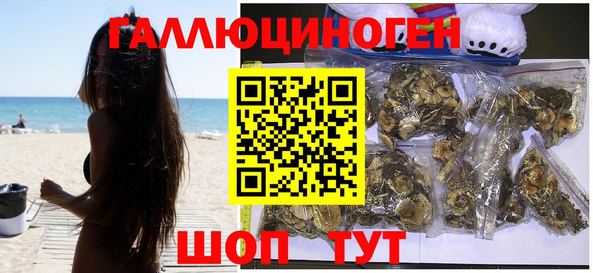 Елец  Галлюциногенные грибы Psilocybe  Вход с VPN 